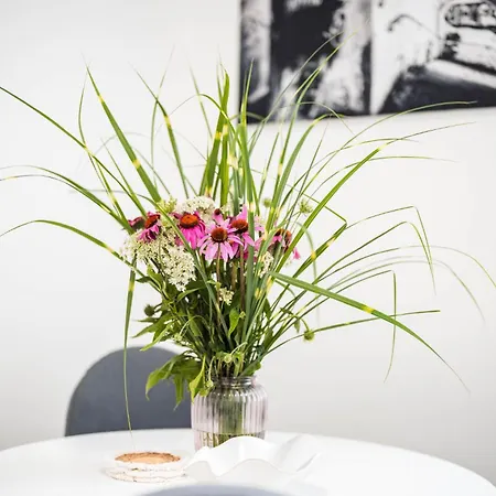 Apartment Silvie - Wurmova *