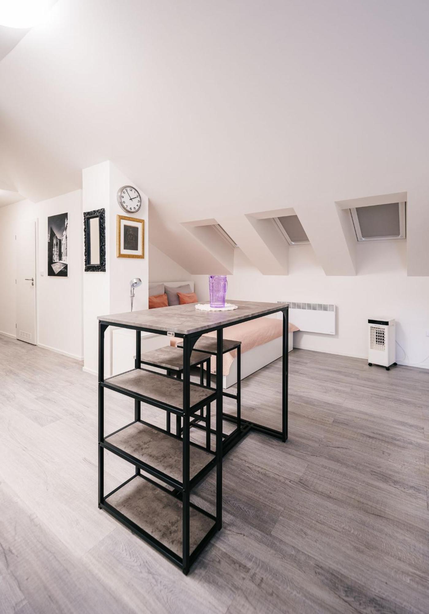 silvie-apartments-wurmova-olomouc-photo-53.JPEG